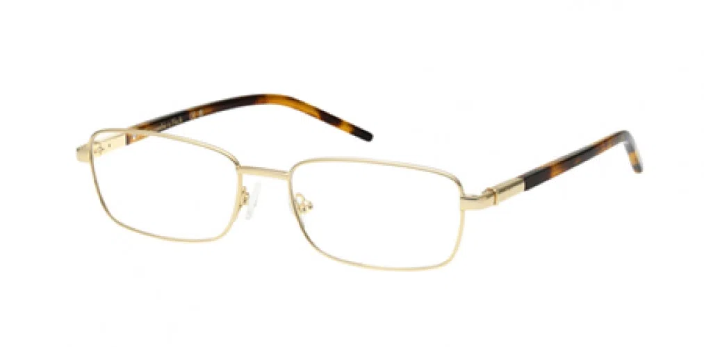 ABERCROMBIE & FITCH 50073 Eyeglasses - view 2